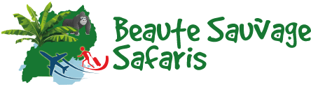 Beaute Sauvage Safaris